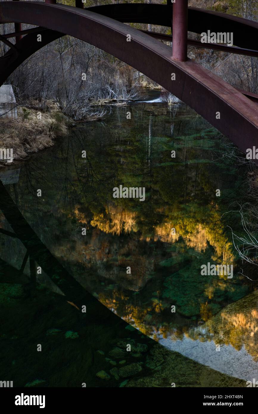 Vertikale Aufnahme der Spiegelungen von Bäumen im Fluss Tejo im Naturpark Alto Tajo in Poveda, Spanien Stockfoto