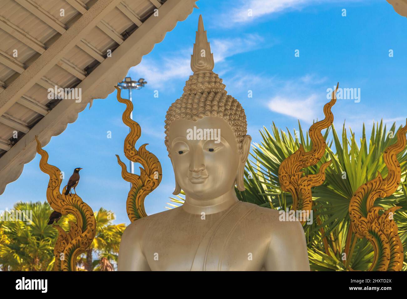 Foto einer silbernen Buddha-Statue und chinesischen goldenen Drachen in einem Tempel in Thailand Stockfoto