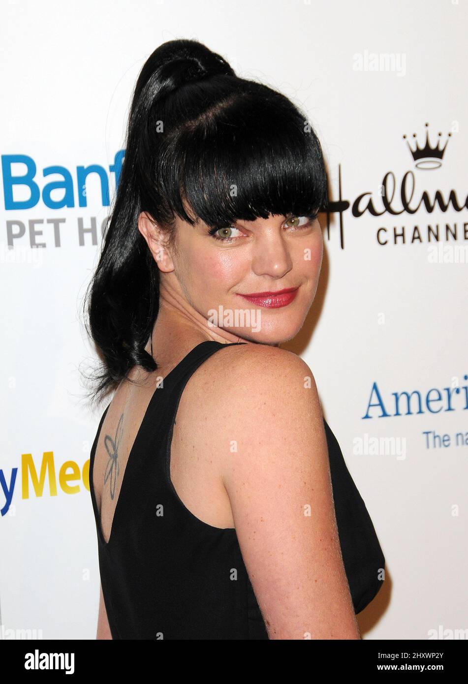 Pauley Perrette bei den jährlichen Hero Dog Awards 1. der American Humane Association im Beverly Hilton Hotel in Beverly Hills, ca. Stockfoto