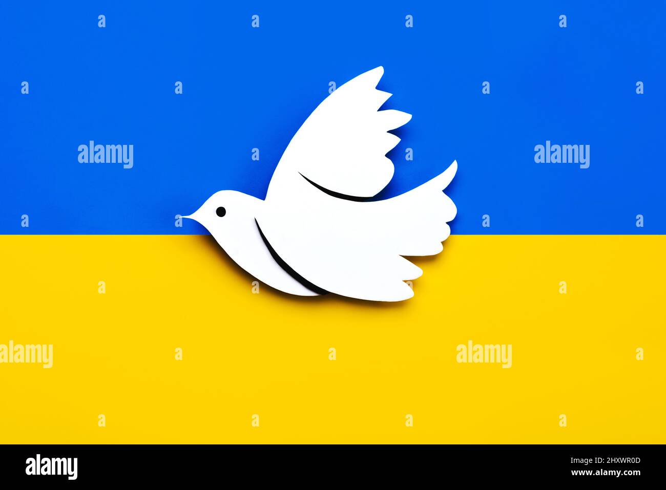 Nationale Flagge der Ukraine Hintergrund mit einer Taube des Friedens. Kein Kriegskonzept Stockfoto