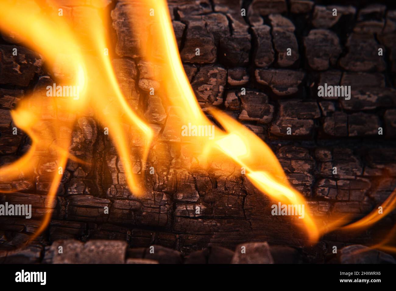 Nahaufnahme von Lagerfeuer und Feuer. Prozess der Holzverbrennung. Stockfoto