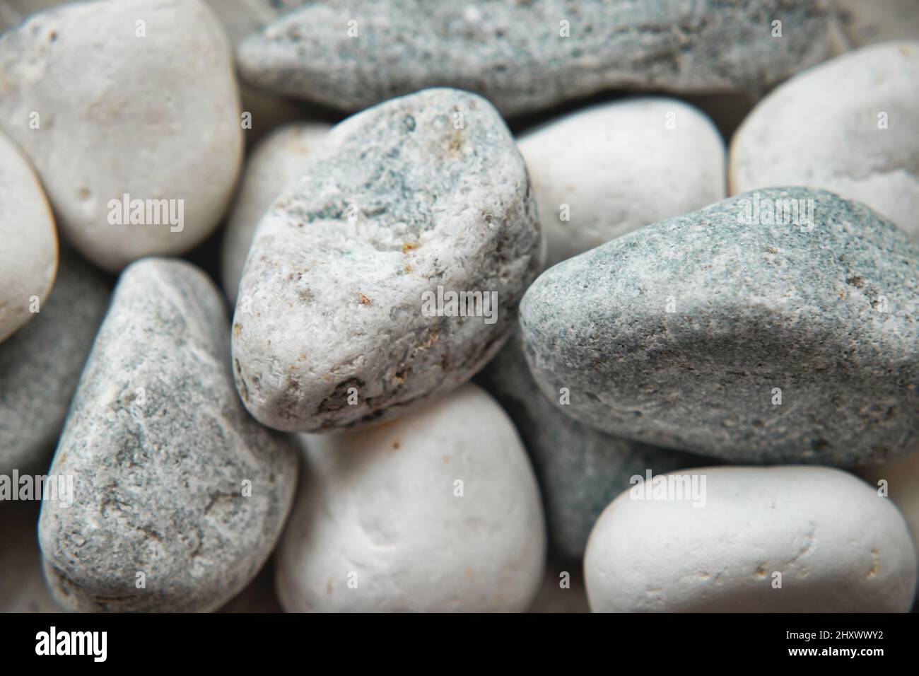 Abstrakter Hintergrund mit trockenen Steinen. Nahaufnahme von weißen Steinen. Stockfoto