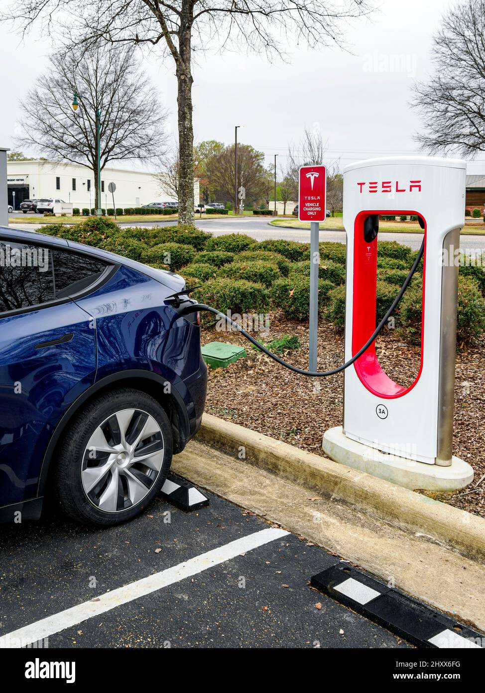 Blue Tesla Model Y, geparkt und geladen an einer Elektrofahrzeug- oder Elektroauto-Ladestation auf einem Parkplatz in Montgomery Alabama, USA. Stockfoto