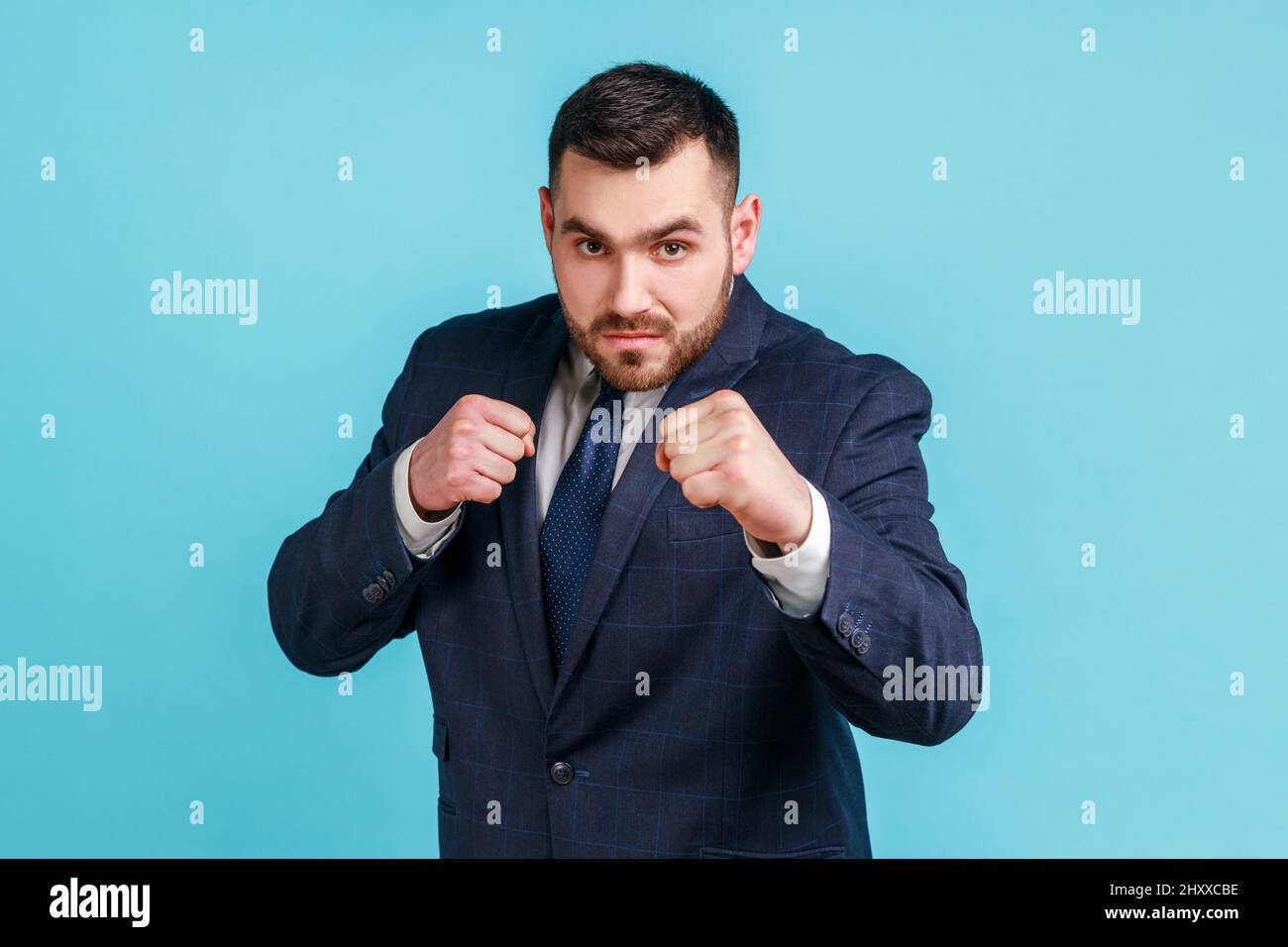 Porträt von herrisch strengen tragen offiziellen Stil Anzug klammernden Fäusten in Boxen Geste und tapfer Blick auf die Kamera, bereit zu schlagen. Innenaufnahme des Studios isoliert auf blauem Hintergrund. Stockfoto