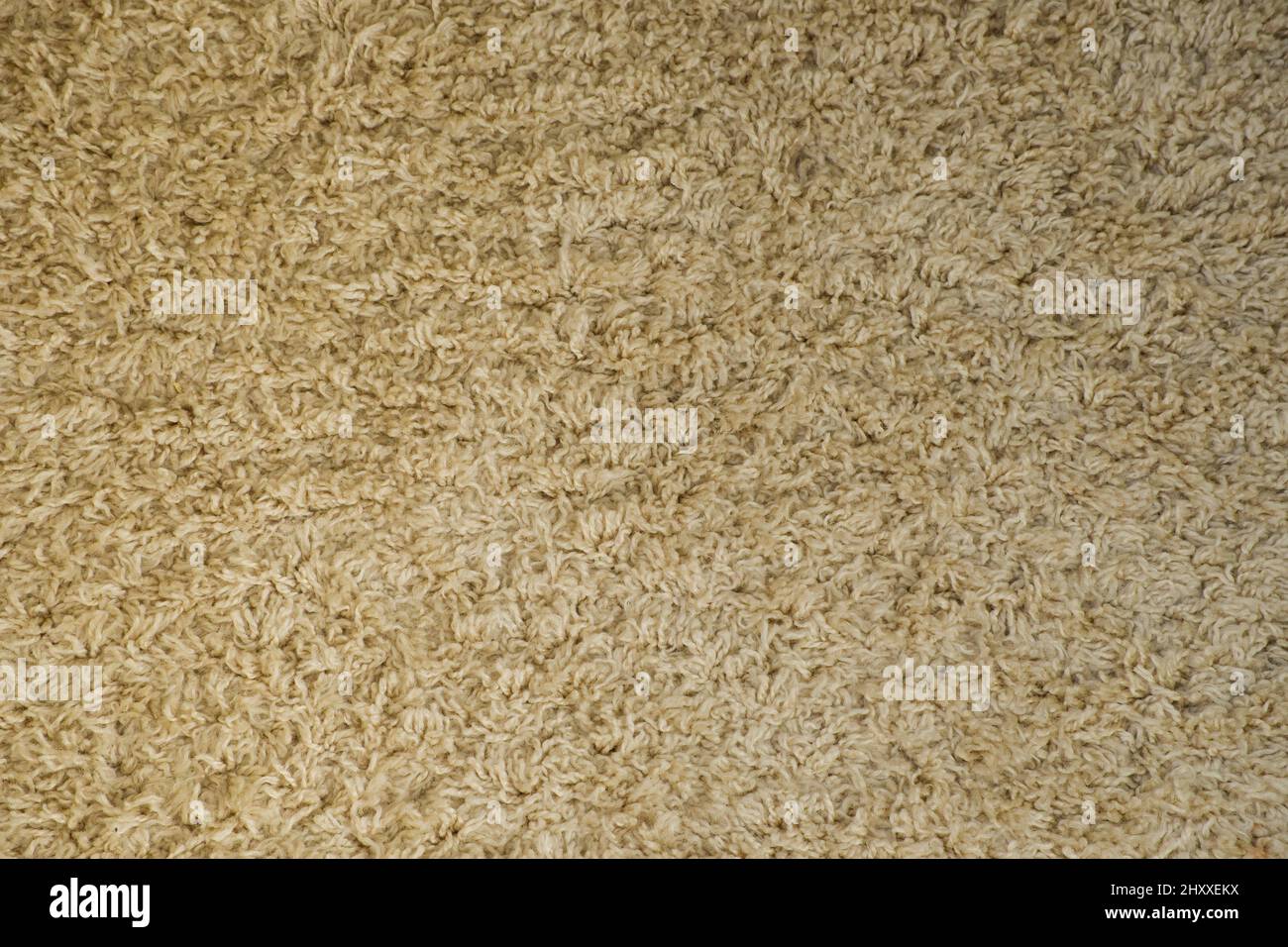 Textur von weichem Wollteppich als Hintergrund. Detailreiche abstrakte Stofftextur. Stockfoto
