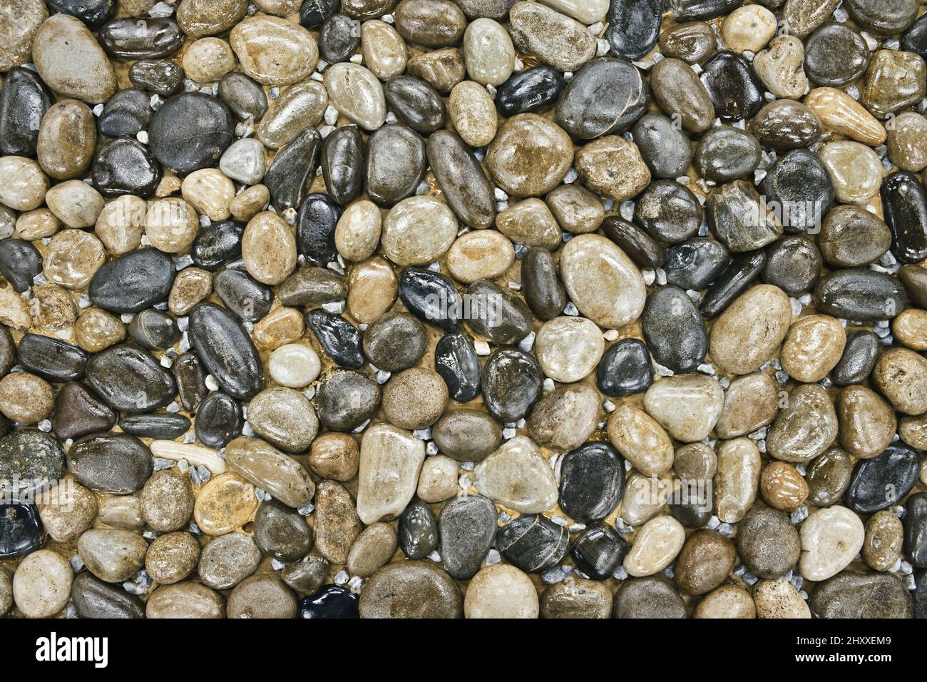 Struktur aus glatten Steinen, die dekorativ auf dem Boden angelegt sind. Fragment des Landschaftsdesigns. Stockfoto