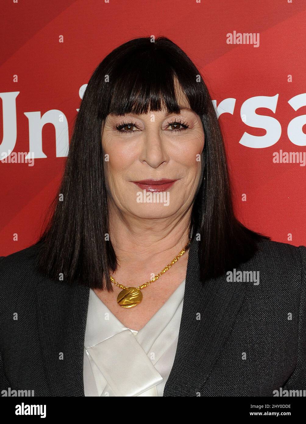 Anjelica Huston nimmt an der NBC Universal TCA Tour Teil, die im Langham Huntington Hotel in Pasadena, Kalifornien, stattfindet. Stockfoto