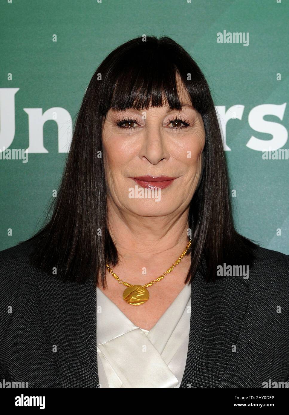 Anjelica Huston nimmt an der NBC Universal TCA Tour Teil, die im Langham Huntington Hotel in Pasadena, Kalifornien, stattfindet. Stockfoto