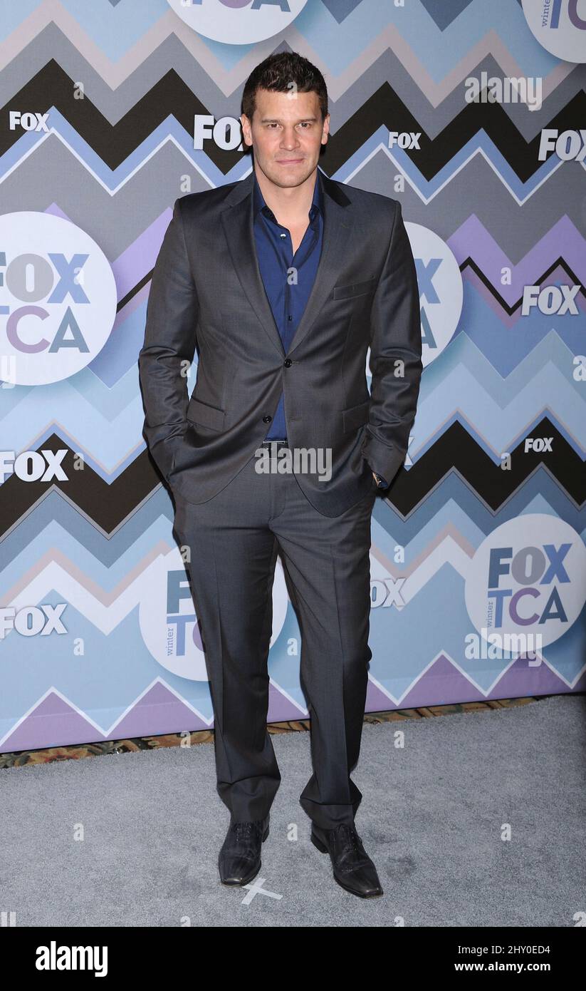 David Boreanaz nimmt an der Fox Winter TCA All-Star Party in Pasadena, Kalifornien, Teil. Stockfoto