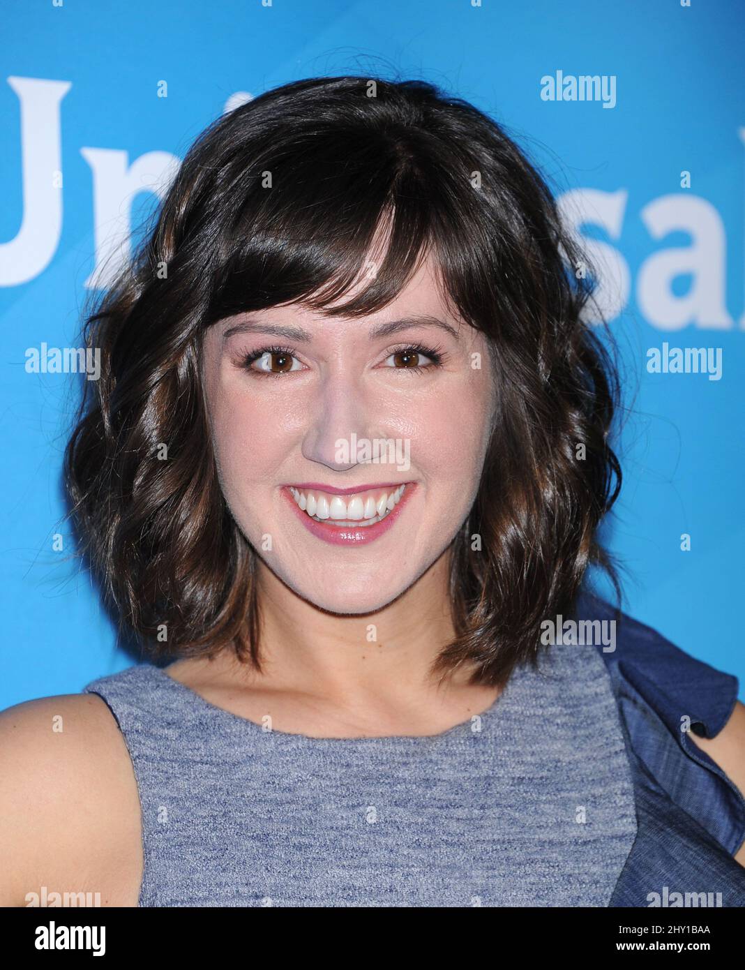 Kelly Vrooman beim NBC Universal Summer Press Day 2013 in Pasadena, Kalifornien. Stockfoto