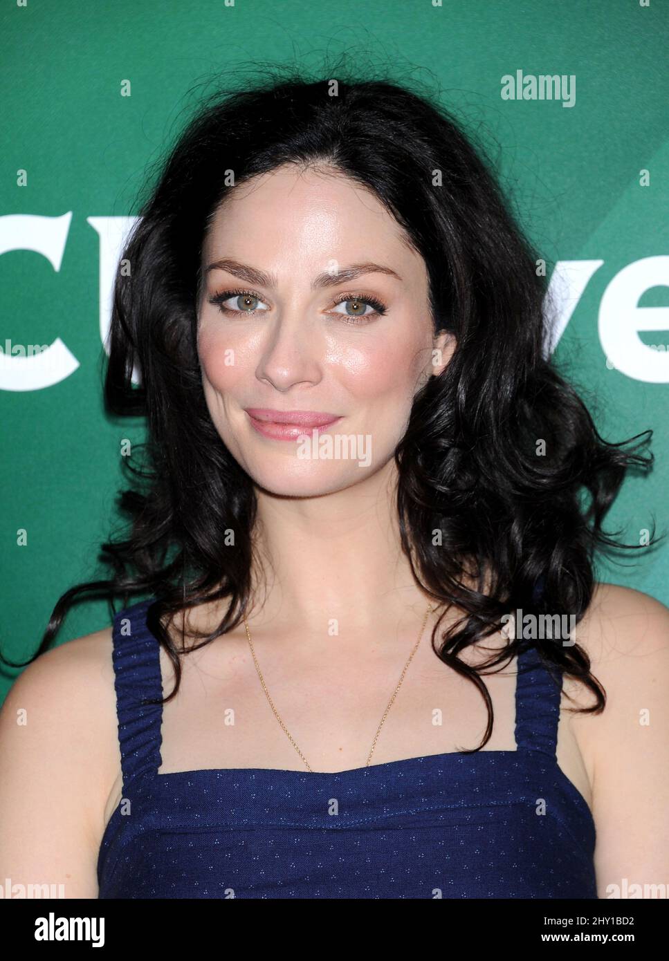 Joanne Kelly nimmt am NBC Universal Summer Press Day 2013 in Pasadena, Kalifornien, Teil. Stockfoto