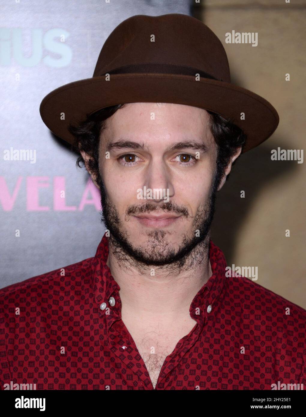 Adam Brody bei der Premiere von „Lovelace“ in Los Angeles im Egyptian Theatre Stockfoto