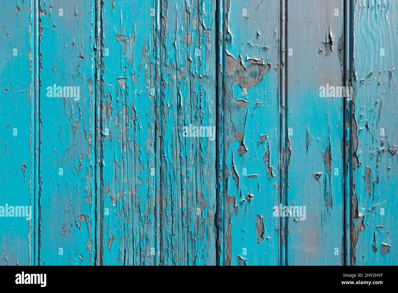 Blaue Farbe, die sich von einer alten Holzoberfläche ablöst Stockfoto