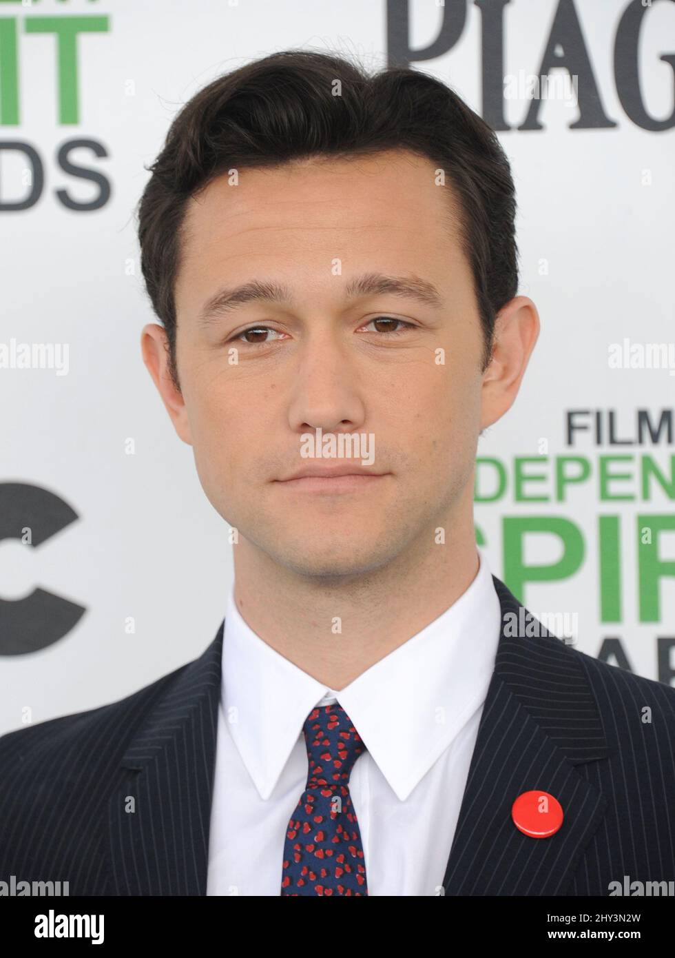 Joseph Gordon-Levitt bei den Film Independent Spirit Awards 2014 Stockfoto