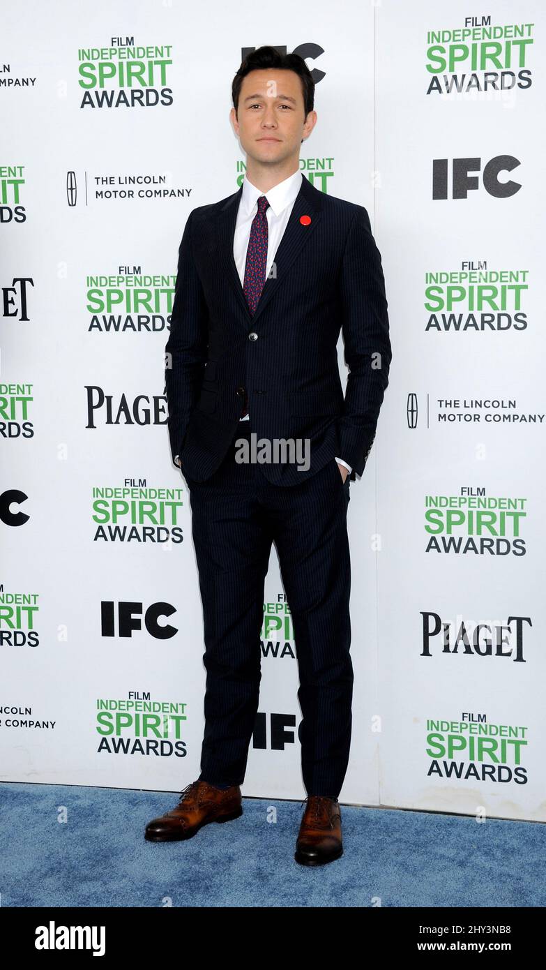 Joseph Gordon-Levitt bei den Film Independent Spirit Awards 2014 Stockfoto