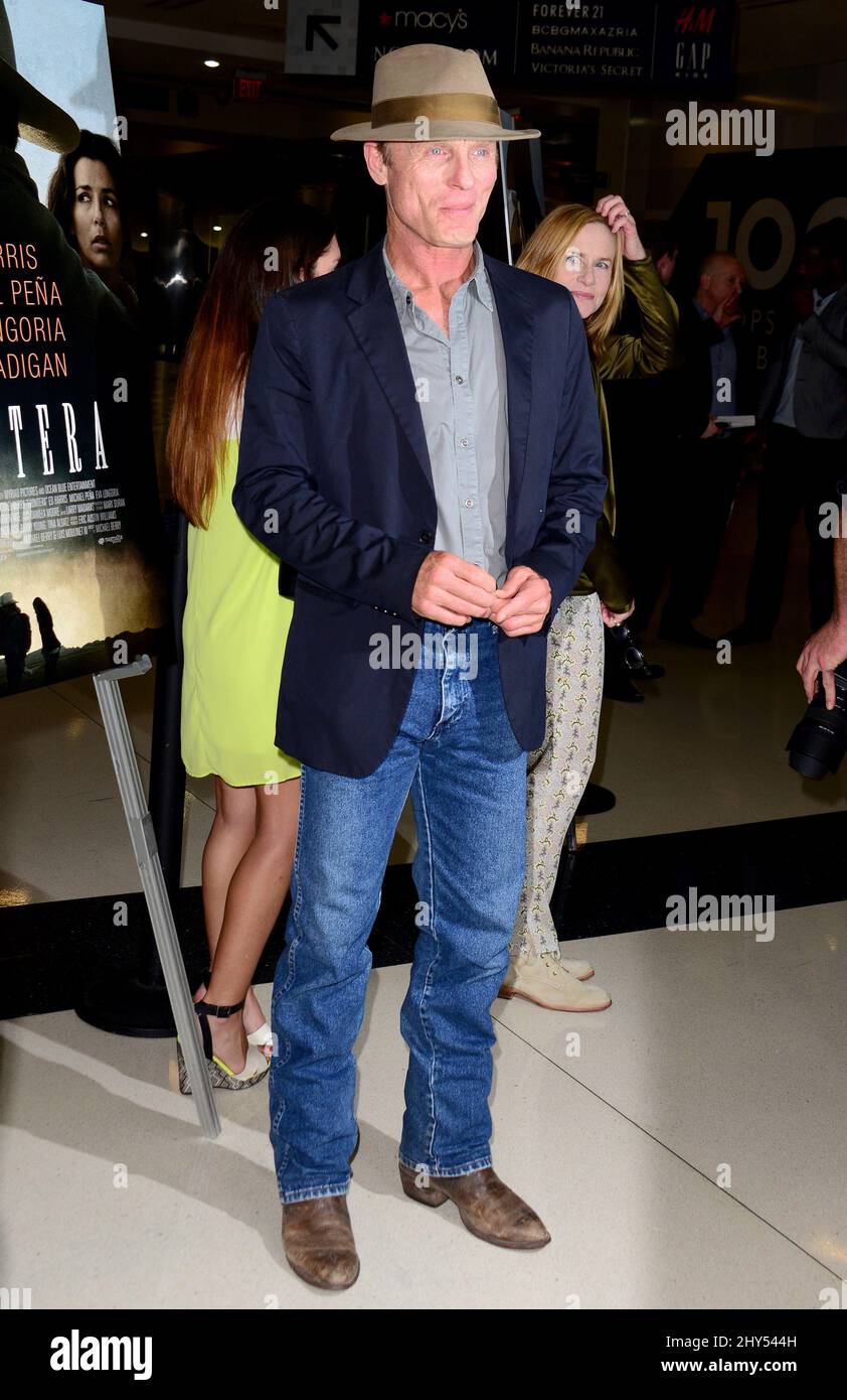 Ed Harris bei der Vorführung von „Oro“, die am 21. August 2014 im Landmark Theatre in Los Angeles, CA, USA, stattfand. Stockfoto