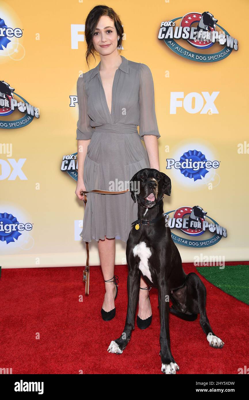 Emmy Rossum nimmt an FOX's Cause for Paws: An All-Star Dog Spectacular