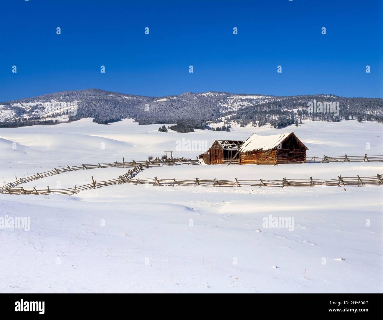 Alte Scheunen im Winter unterhalb der Granatkette in der Nähe von avon, montana Stockfoto