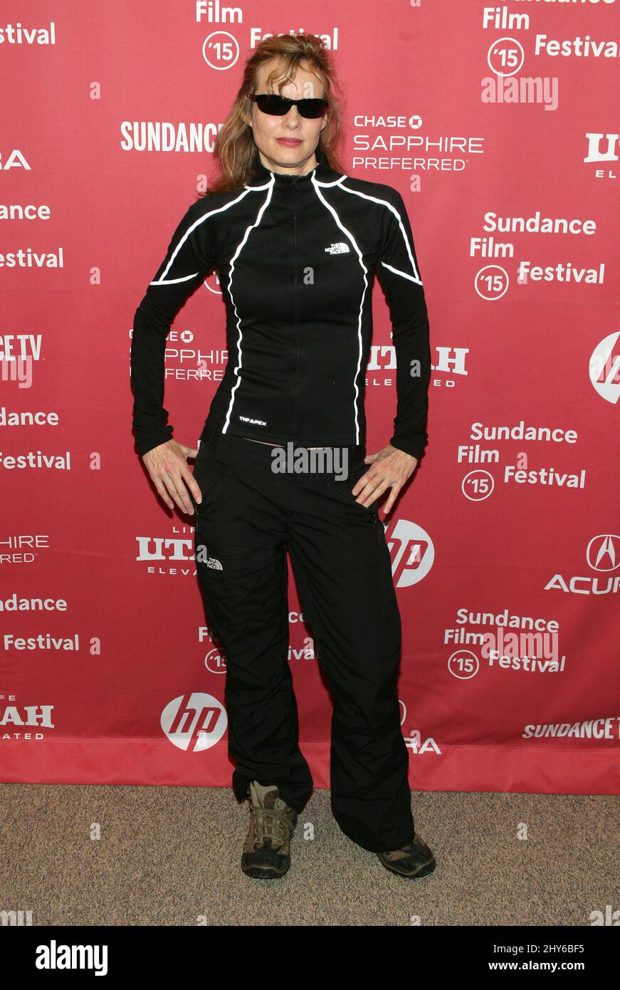 Lori Singer bei der Sundance Film Festival Premiere von EXPERIMENTATOR im Eccles Theatre 2015 Stockfoto