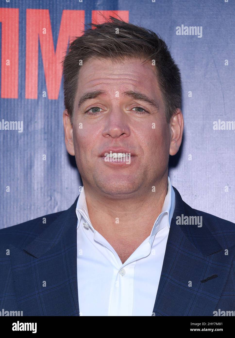 Michael Weatherly bei der CBS, der CW und Showtime Summer TCA Pressetour. Stockfoto