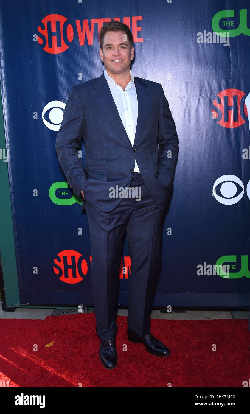 Michael Weatherly bei der CBS, der CW und Showtime Summer TCA Pressetour. Stockfoto