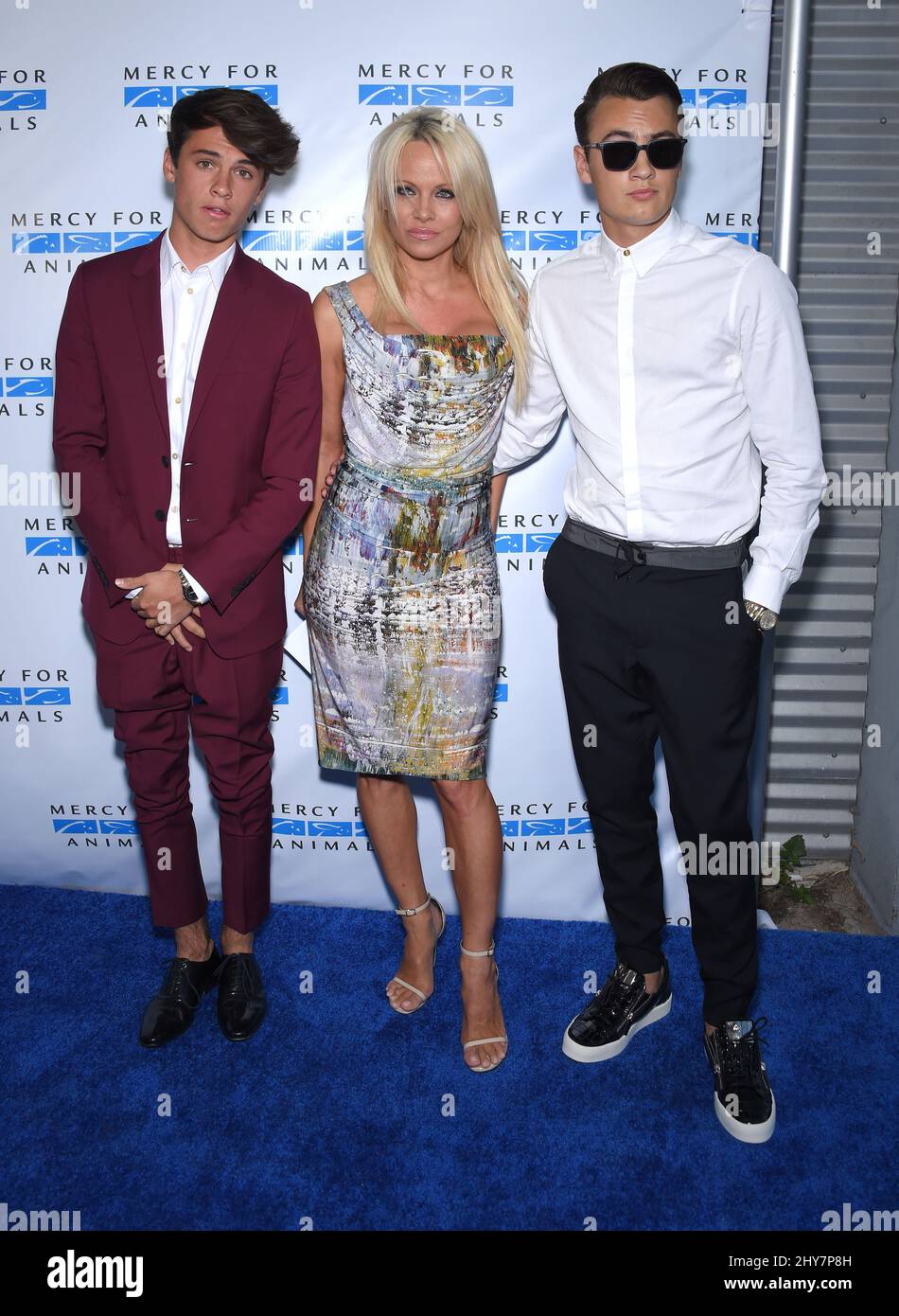 Pamela Anderson, Dylan Lee und Brandon Lee Atents Mercy for Animals präsentieren die „Hidden Heroes“ Gala im Unici Casa. Stockfoto Pamela Anderson, Dylan Lee und Brandon Lee Atents Mercy for Animals präsentieren die „Hidden Heroes“ Gala im Unici Casa. Stockfoto