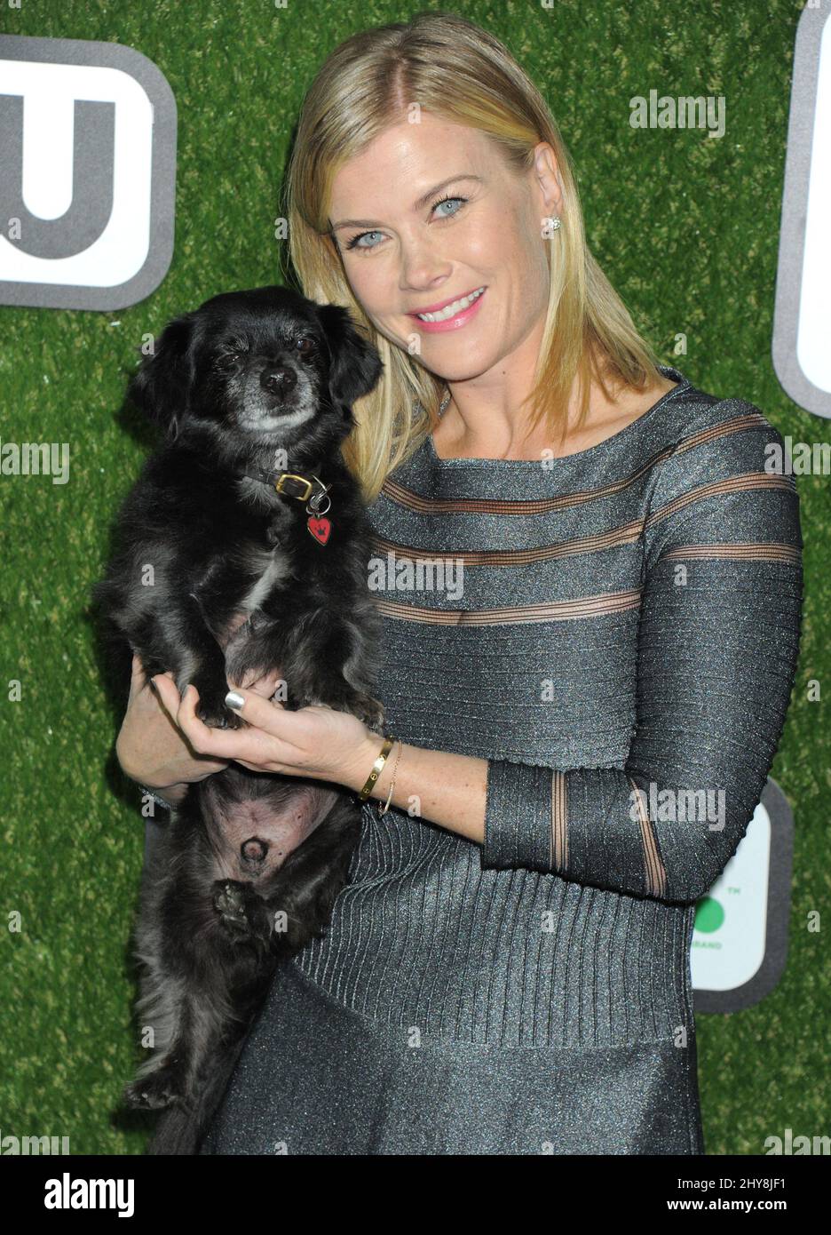 Alison Sweeney und Ozzie nahmen an den World Dog Awards 2016 Teil, die im Barker Hanger am Flughafen Santa Monica verliehen wurden Stockfoto