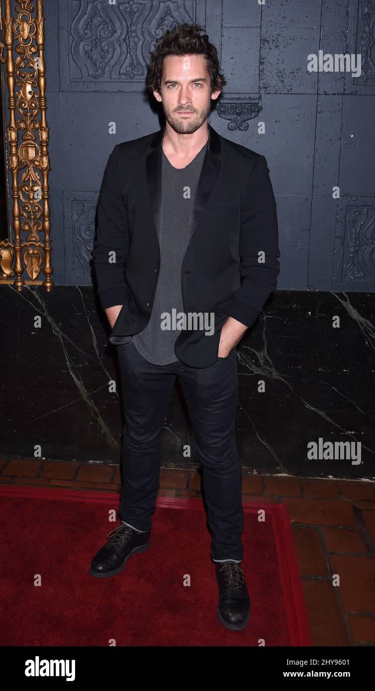 Will Kemp nimmt an der Knight of Cups-Premiere in Los Angeles, CA, USA, am 1. März 2016 Teil. Stockfoto