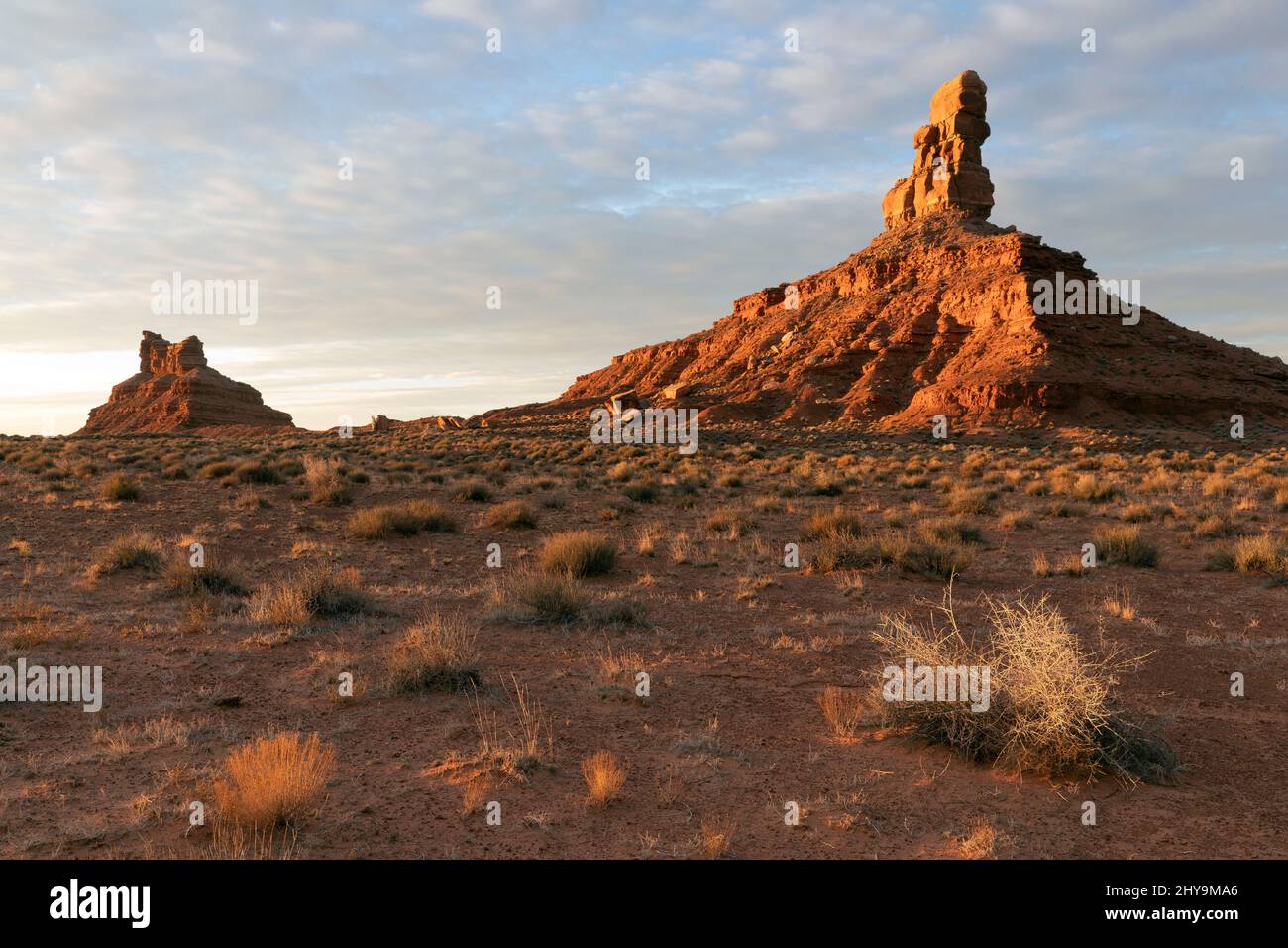 UT00905-00..... UTAH - Rooster Butte und Setting Hen Butte bei Sonnenaufgang im Tal der Götter, trägt Ears National Monument. Stockfoto