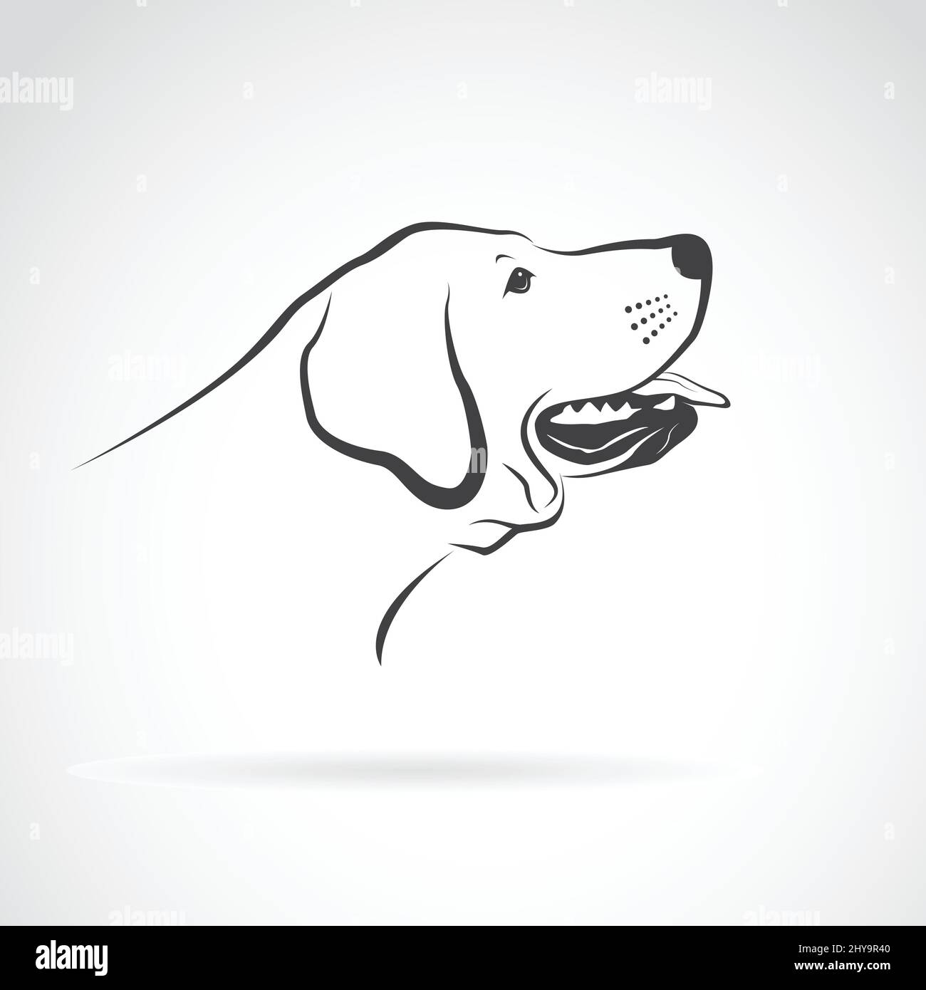 Vektor eines labrador Hundekopfes auf weißem Hintergrund. Haustier. Tiere. √ Stock Vektor