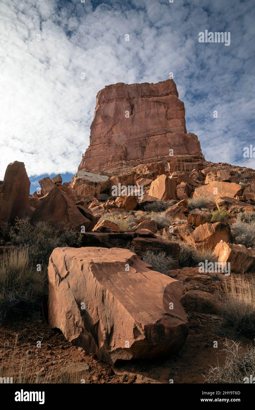 UT00915-00..... UTAH - sandsteinbutte im Tal der Götter, trägt Ears National Monument. Stockfoto