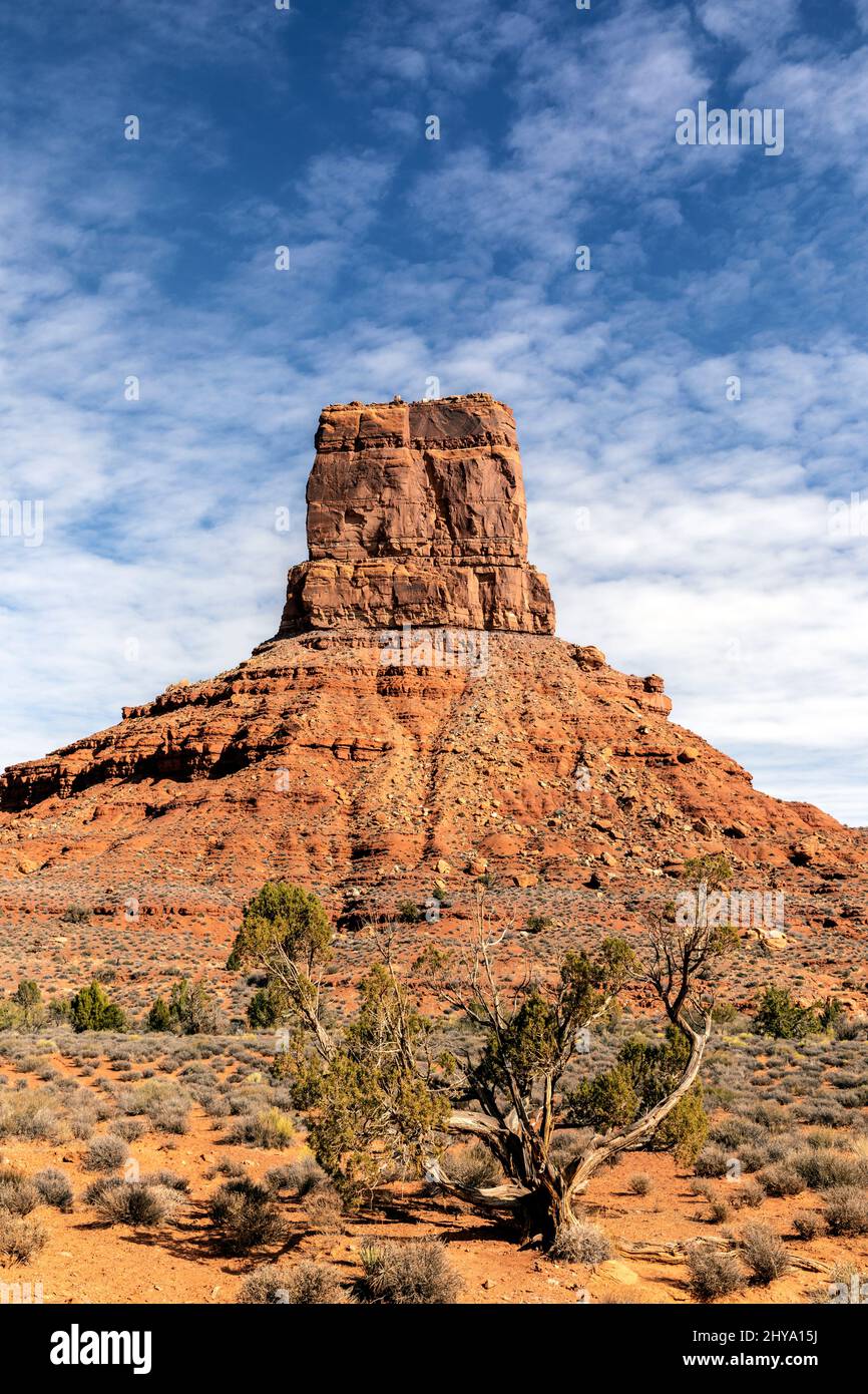 UT00921-00..... UTAH - sandsteinbutte im Tal der Götter, trägt Ears National Monument. Stockfoto