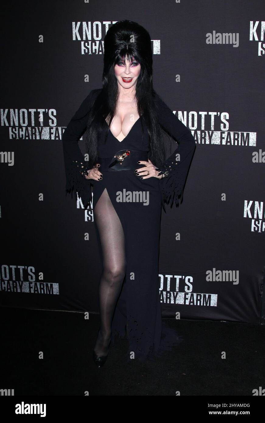 Elvira kommt für Knott's Scary Farm's Black Carpet Event 2016 an, das im September 30. 2016 in Knott's Berry Farm, Los Angeles, stattfand. Stockfoto