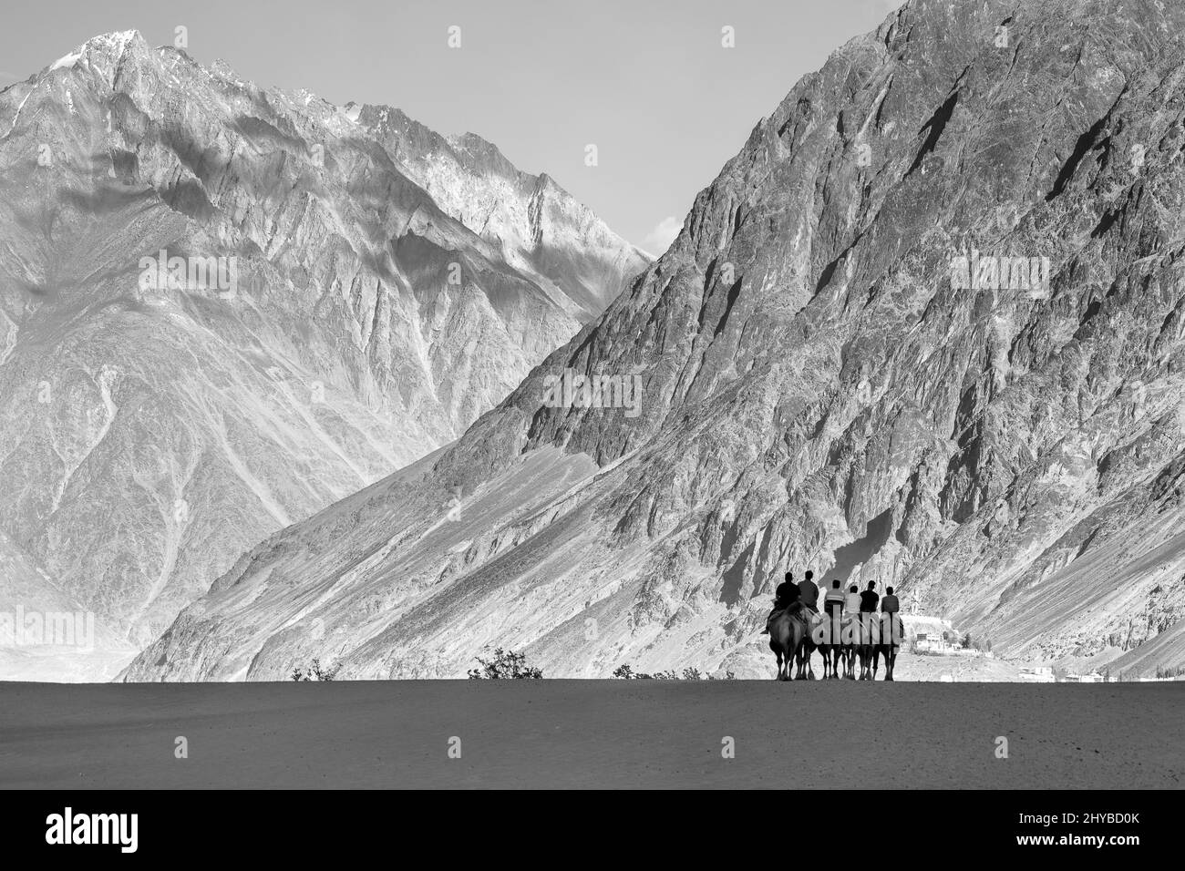 Graustufenaufnahme einer Gruppe von Menschen, die in den Hunder Sand Dunes auf Doppelhöcker-Kamelen reiten Stockfoto