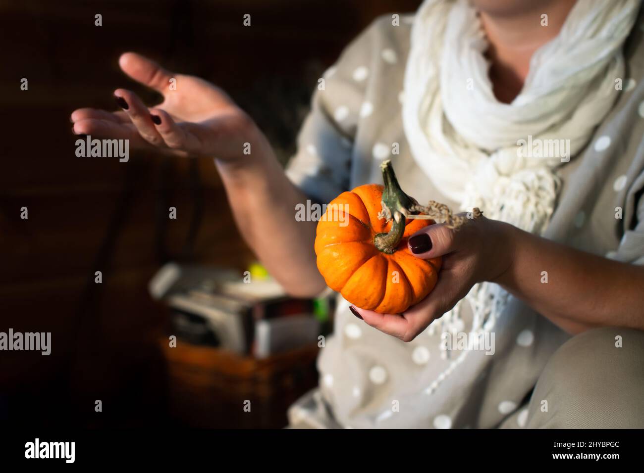 Eine Frau mit einem kleinen orangefarbenen Kürbis in den Händen. Vorderansicht. Stockfoto