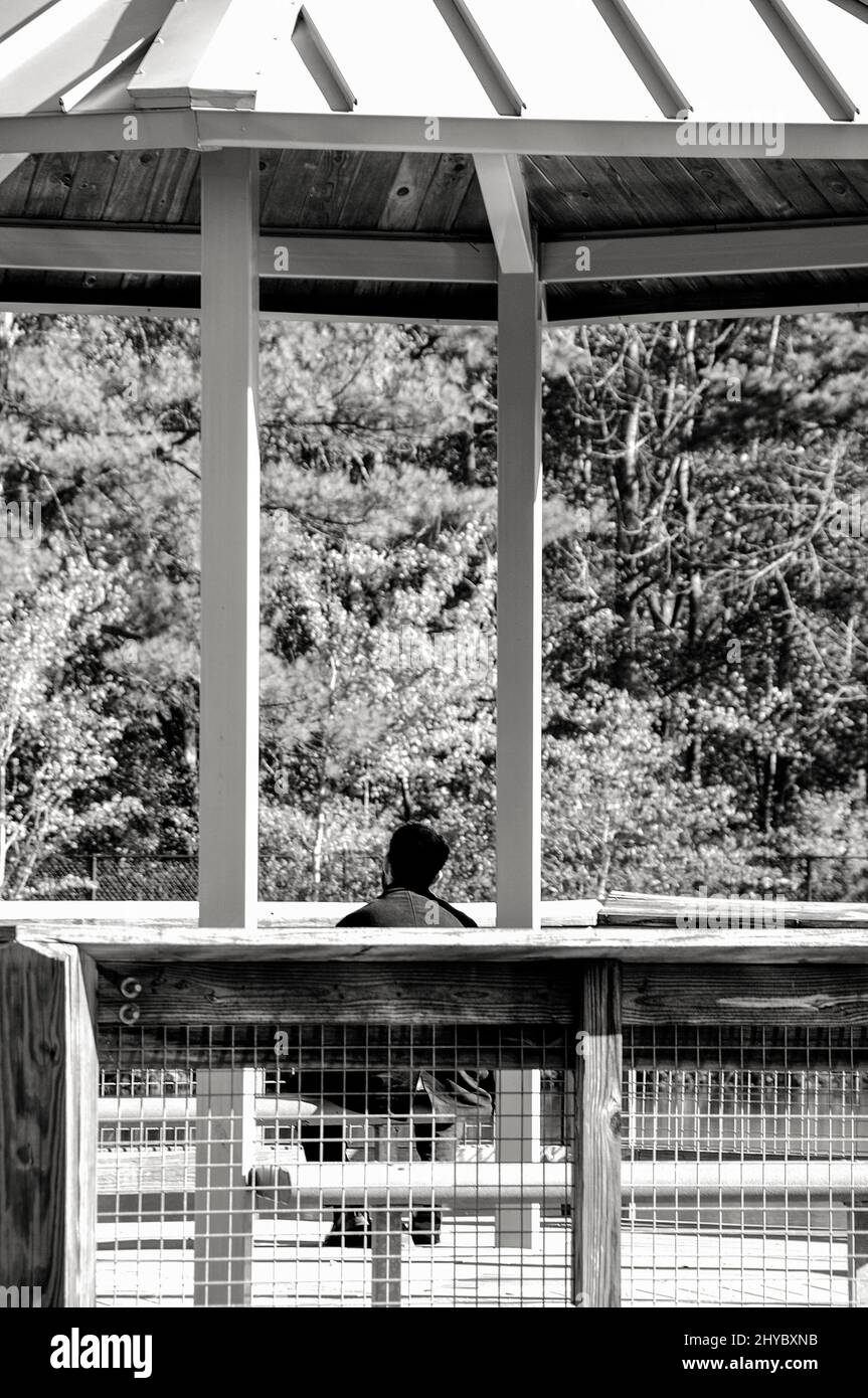 Blick auf einen Mann, der in einem kleinen Bandstand in der Nähe des Sees unter vielen Bäumen sitzt Stockfoto