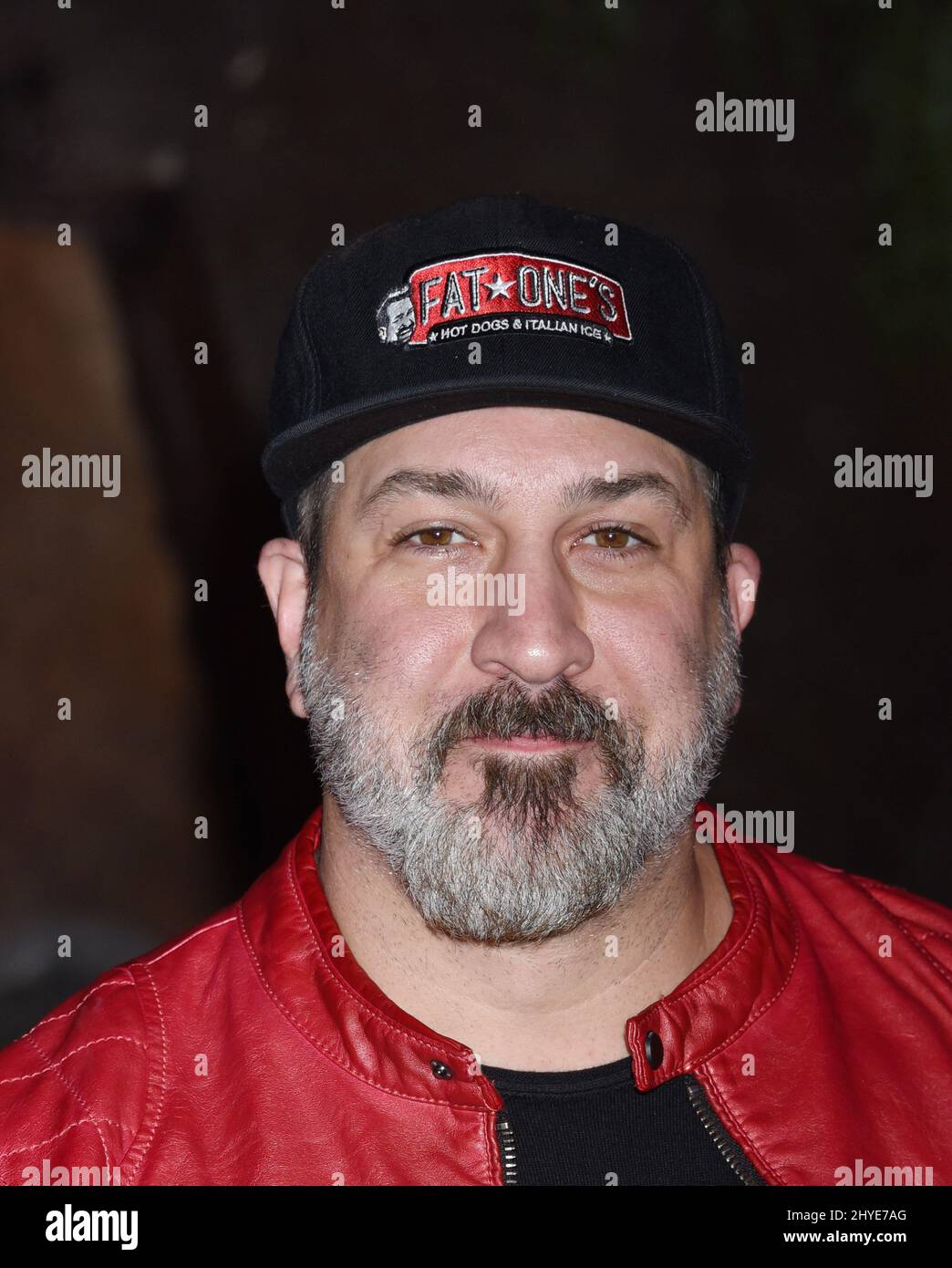 Joey Fatone bei der Jumanji: Willkommen zur Jungle Premiere in Los Angeles Stockfoto