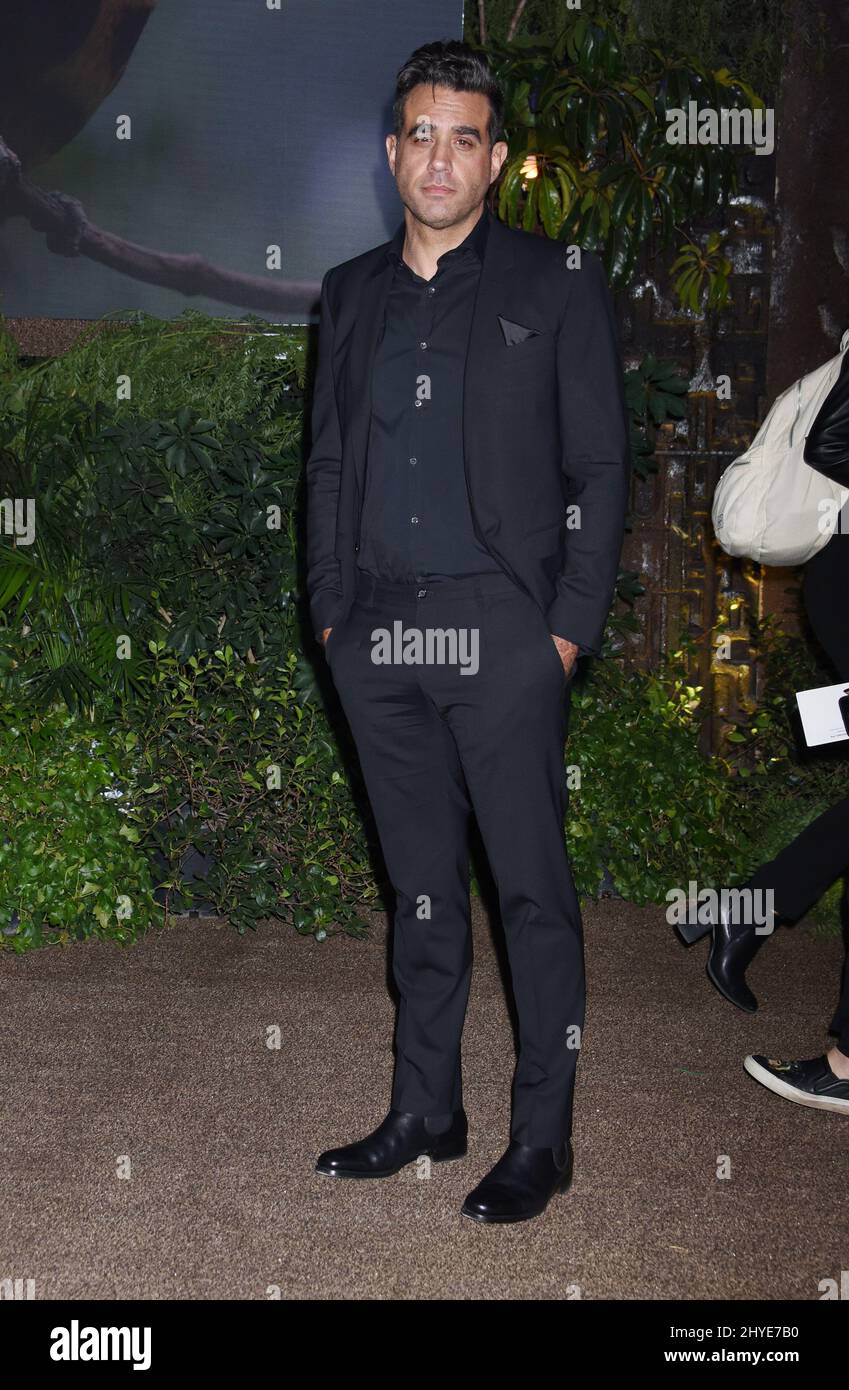 Bobby Cannavale bei der Jumanji Willkommen zur Jungle Premiere in Los