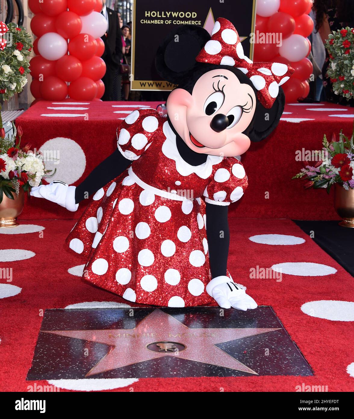 Minnie Mouse feiert 90.-jähriges Jubiläum mit Star auf dem Hollywood Walk of Fame. Stockfoto