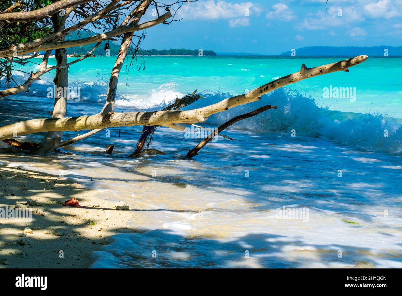 Elephant Beach, Havelock Island, Andaman, Indien Stockfoto