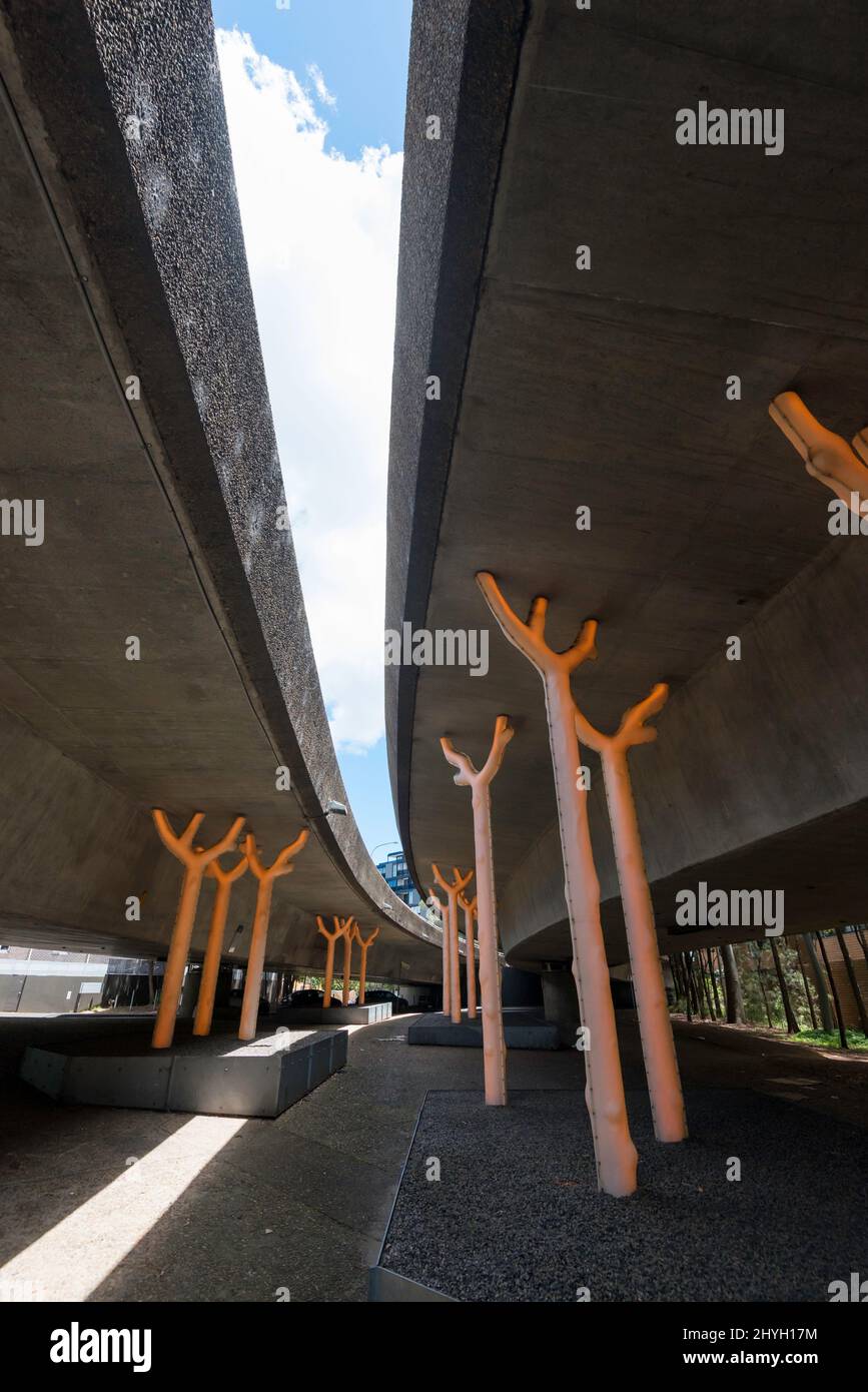 Aspire by Warren Langley, glühende goldene Bäume scheinen zu wachsen und unterstützen das enorme Gewicht der Autobahnstruktur in Ultimo, Sydney Stockfoto