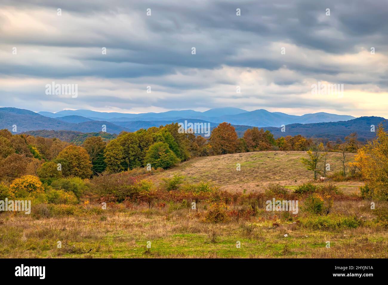 Schönheit weitläufige Landschaft mit herbstlichen Feldern und Wiesen Stockfoto