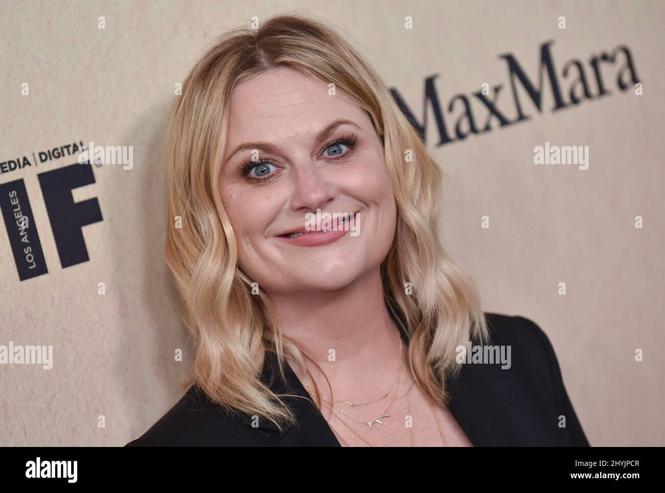 Amy Poehler bei der jährlichen Gala für Frauen im Film 2019 im Beverly Hilton Hotel am 12. Juni 2019 in Beverly Hills, CA. Stockfoto