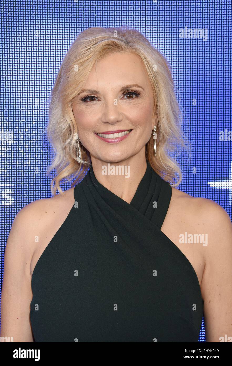 Teryl Rothery im Hallmark Channel und Hallmark Movies & Mysteries 2019 Sommer-TCA in einer privaten Residenz in Beverly Hills am 26. Juli 2019 in Beverly Hills, ca. Stockfoto
