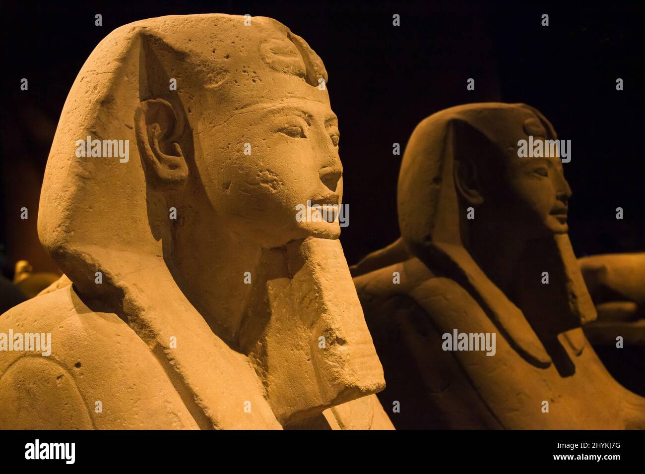 Turin, Italien - 14. August 2021: Sphinx im Ägyptischen Museum von Turin, Italien. Stockfoto