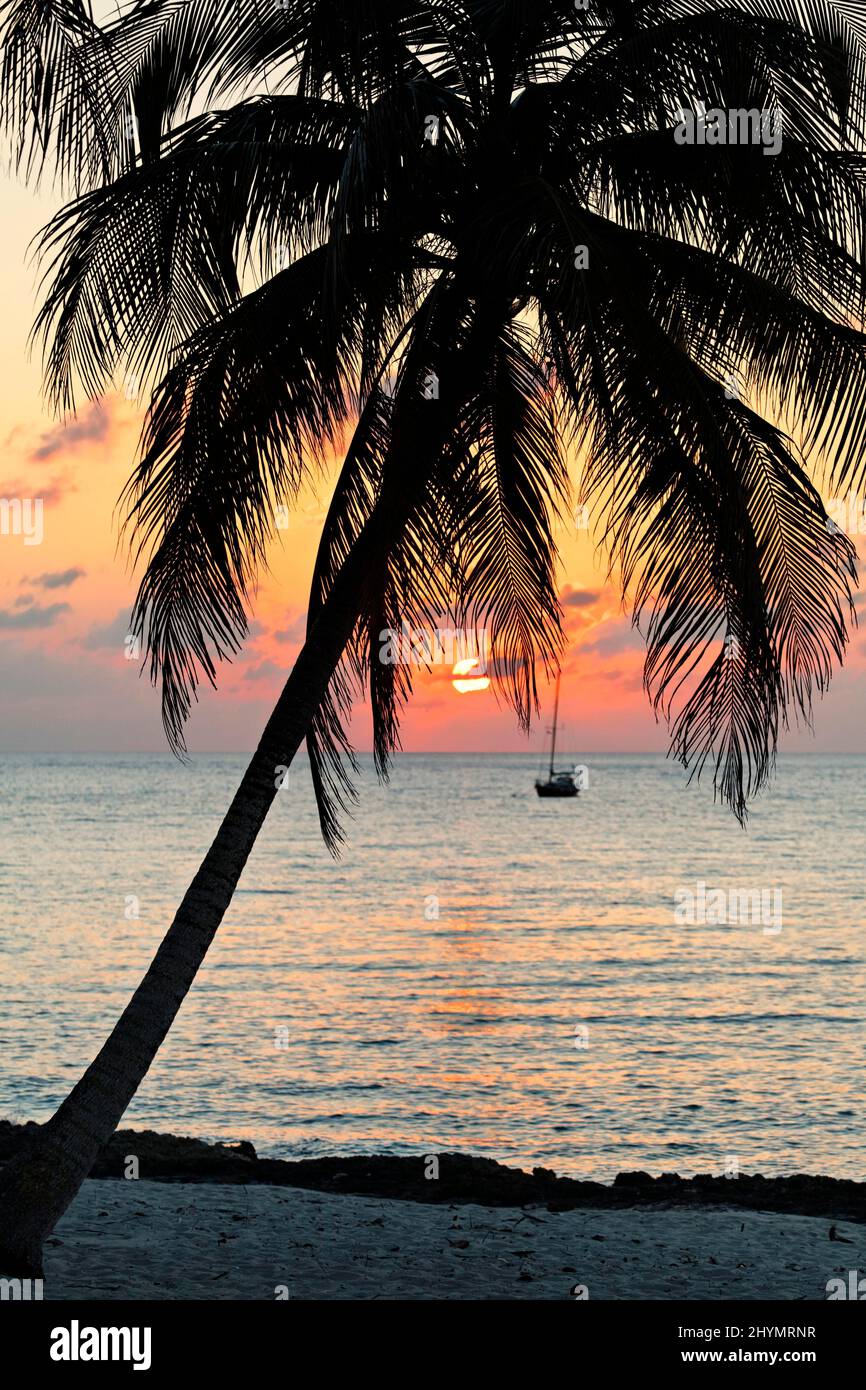 Silhouette von Palm, Boot, Strand, Sonnenuntergang, Hotel, Bungalow Resort, Maria la Gorda, Pinar del Rio Provinz, Kuba, Karibik Stockfoto