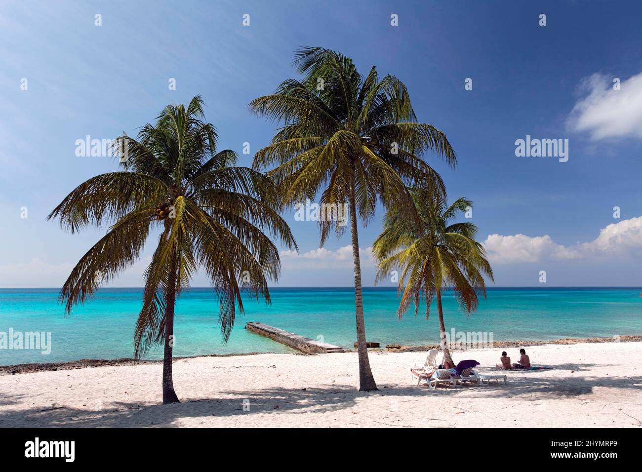 Sandstrand mit Palmen, Steg und Gästen, Hotel, Bungalow Resort, Maria la Gorda, Pinar del Rio, Kuba, Karibik Stockfoto