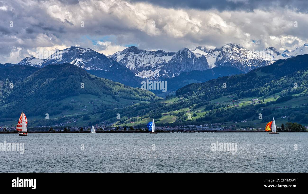 Segelregatta auf dem Zürichsee, Seedamm und Alpen im Hintergrund, Rapperswil, Schweiz Stockfoto