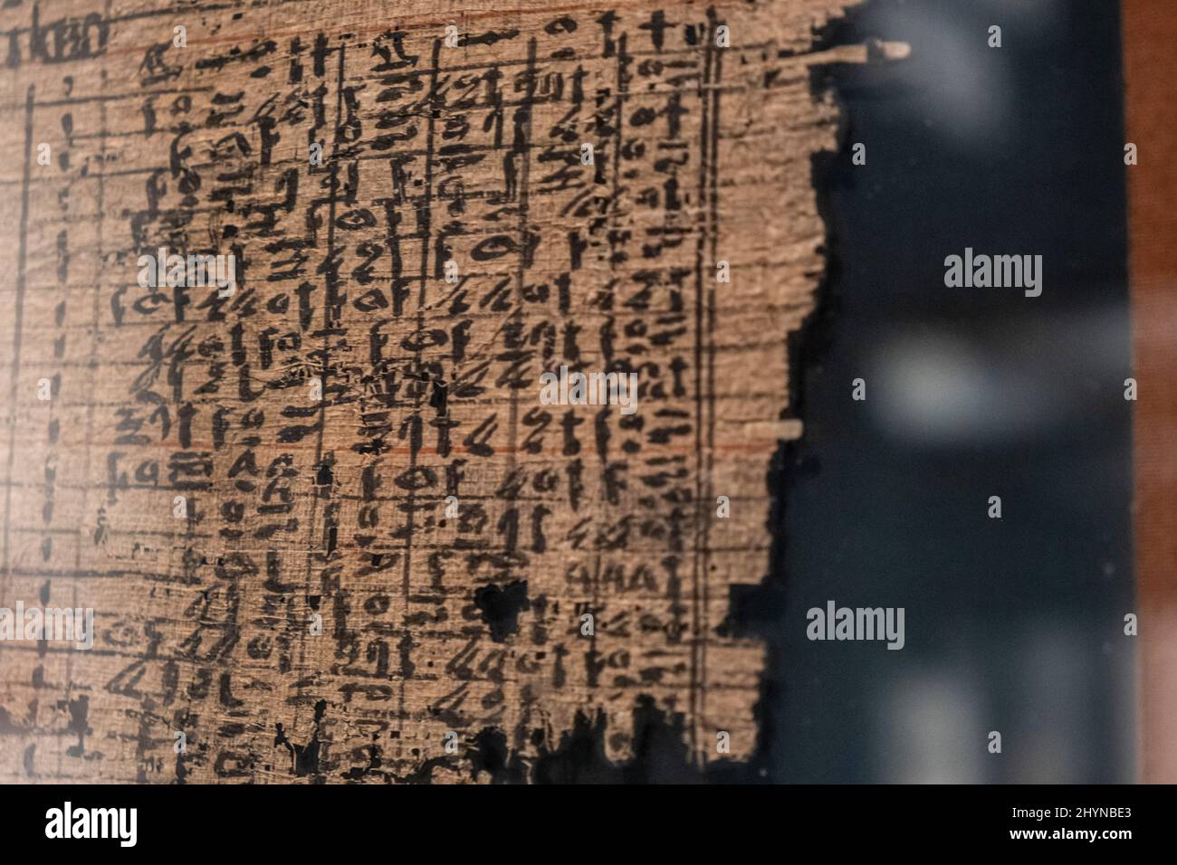 Abusir Papyrus, Papyrus, 5. Dynastie, 2494-2345 v. Chr., Abusir, Ägyptensammlung des British Museum Stockfoto