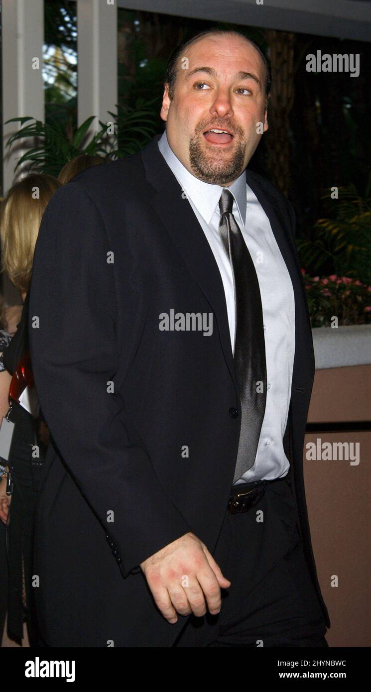JAMES GANDOLFINI NIMMT AN DEN JÄHRLICHEN CRITICS' CHOICE AWARDS 9TH IN BEVERLY HILLS TEIL. BILD: BRITISCHE PRESSE Stockfoto